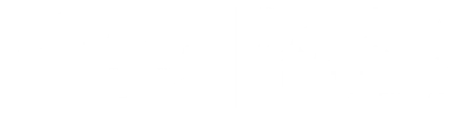 Premier Rehab