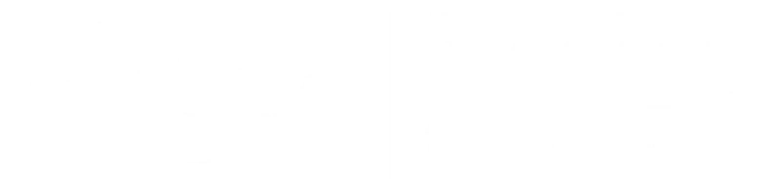 Rehab Plus